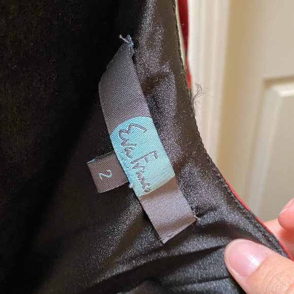 Gently worn Eva Franco dress. GORGEOUS fabric. Size 2 - Picture 3 of 11